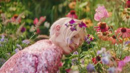 DVEIN Delpozo Still