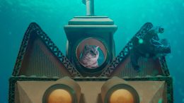Whiskas Global 2021 Purr More TVC All Dreams 60s 16x9 Titled With Mnemonic Purr more Smaller 00 00 36 20 Still006 Nina Gantz