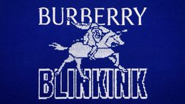 Blinkink x burberry with horse compressed